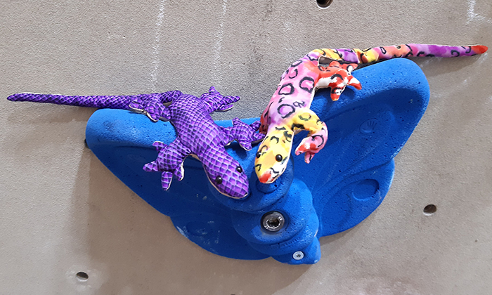 Rettet die Geckos in der Bronx Rock! © Bronx Rock Kletterhalle